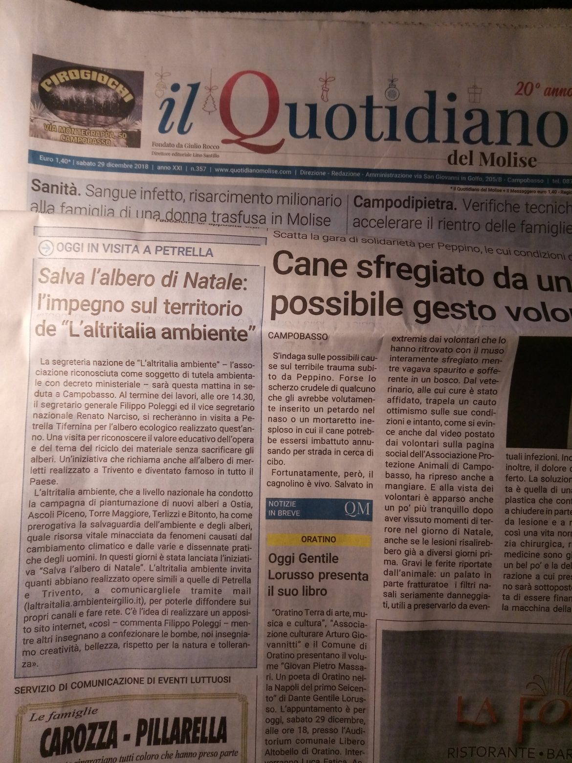 Visita a Petrella Tifernina (CB), dove i bambini hanno realizzato alberi di Natale 100% riciclabili