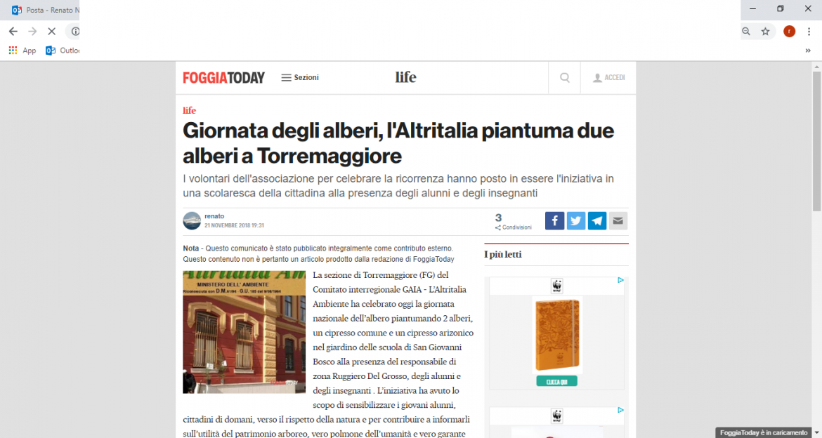 Giornata Nazionale degli Alberi: Foggia Today