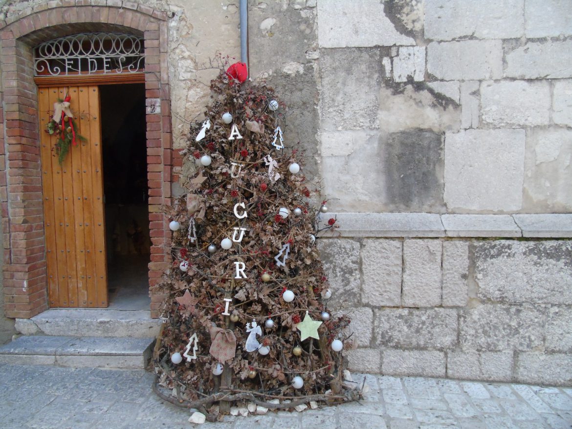 DSC05001 Dal Molise una nuova idea per l’albero di Natale sostenibile