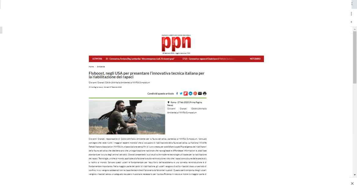 prima pagina news granati 27 02 20 Il nostro responsabile della fauna selvatica in USA per presentare l’innovativa tecnica di riabilitazione dei rapaci
