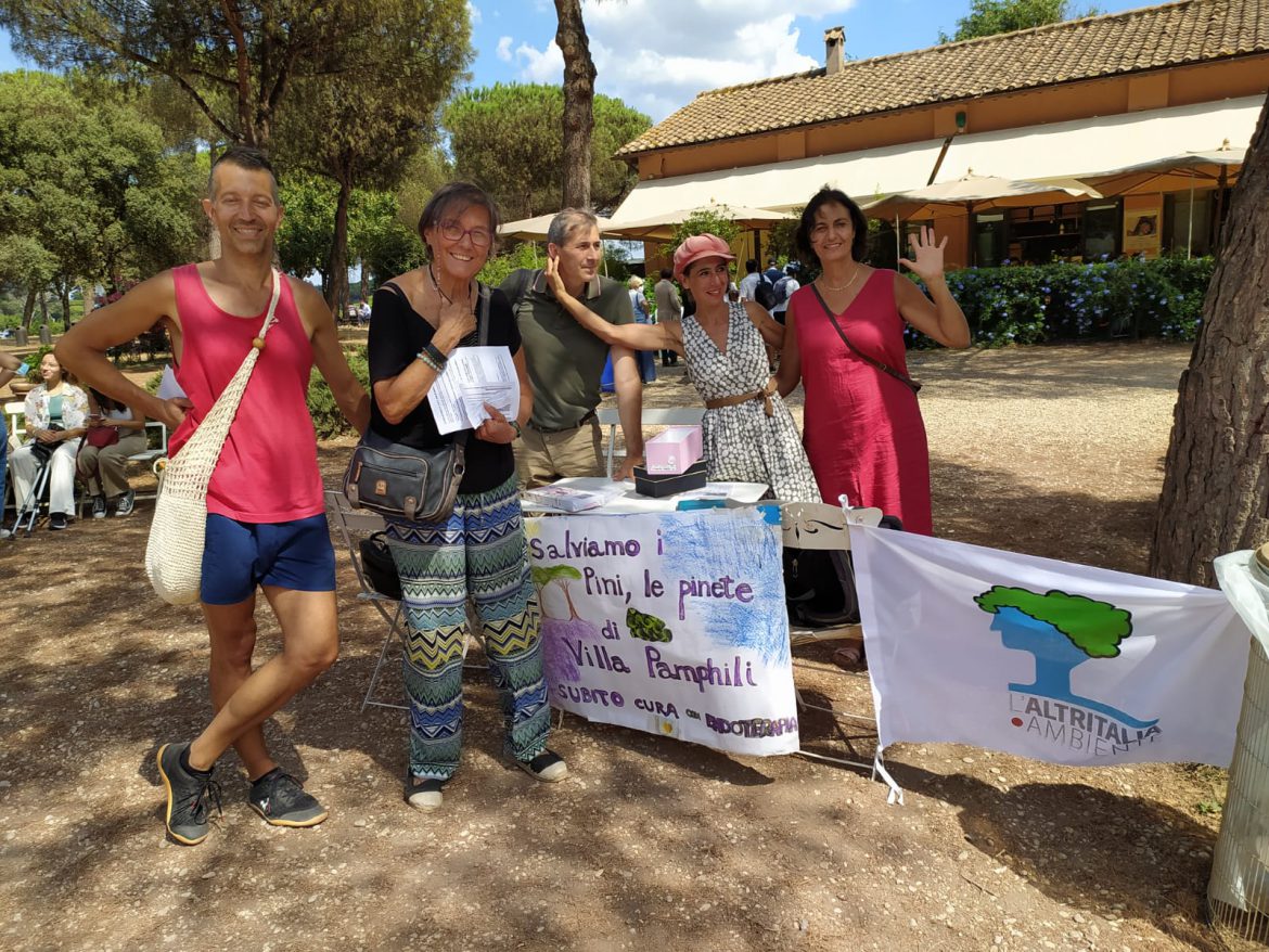 villa6 Continua la raccolta fondi per salvare i pini della Capitale