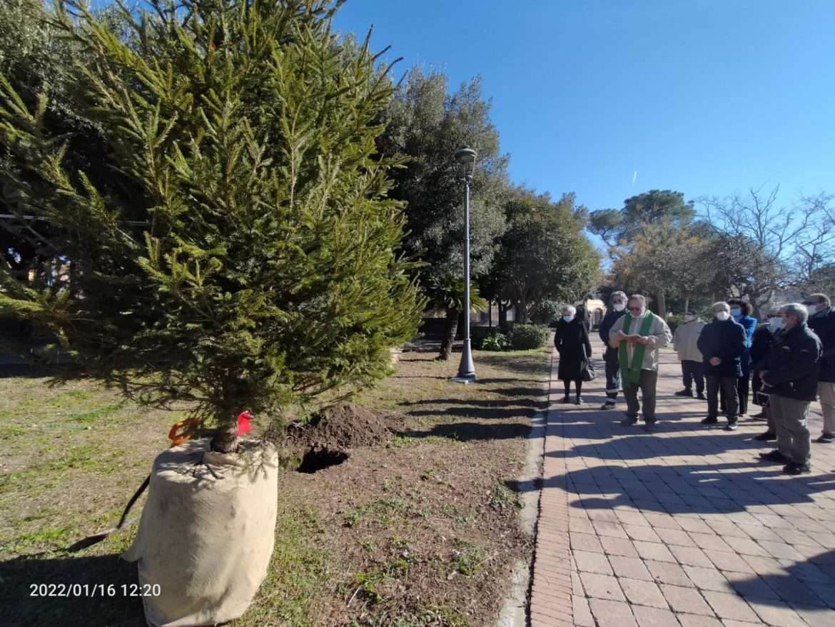 “Dopo l’Epifania non gettarlo via”, in Puglia si recupera l’albero di un centro storico