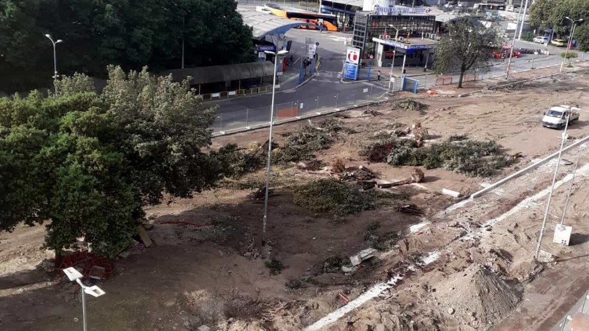 Alberi tagliati stazione Tiburtina-2 Giornata nazionale degli alberi: Flash Mob di protesta in molte regioni contro i tagli indiscriminati