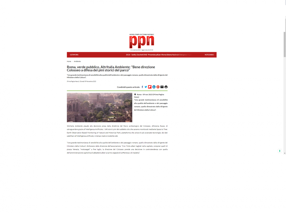ppn alberi colosseo 09 11 23 La salvaguardia dei pini storici da parte del Parco del Colosseo