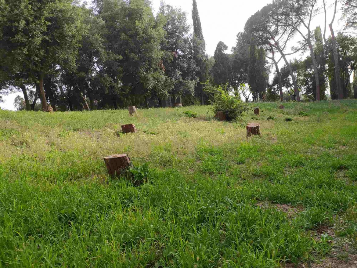villa glori ridotto Cambiamento climatico: Il Campidoglio si illude di combatterlo solo con la tecnologia