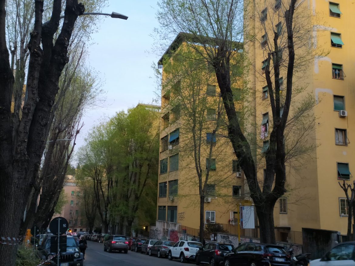 d3a794df-45ff-4154-802b-2677b3eda79f L’Altritalia si schiera con il comitato TAM a difesa degli alberi di Roma
