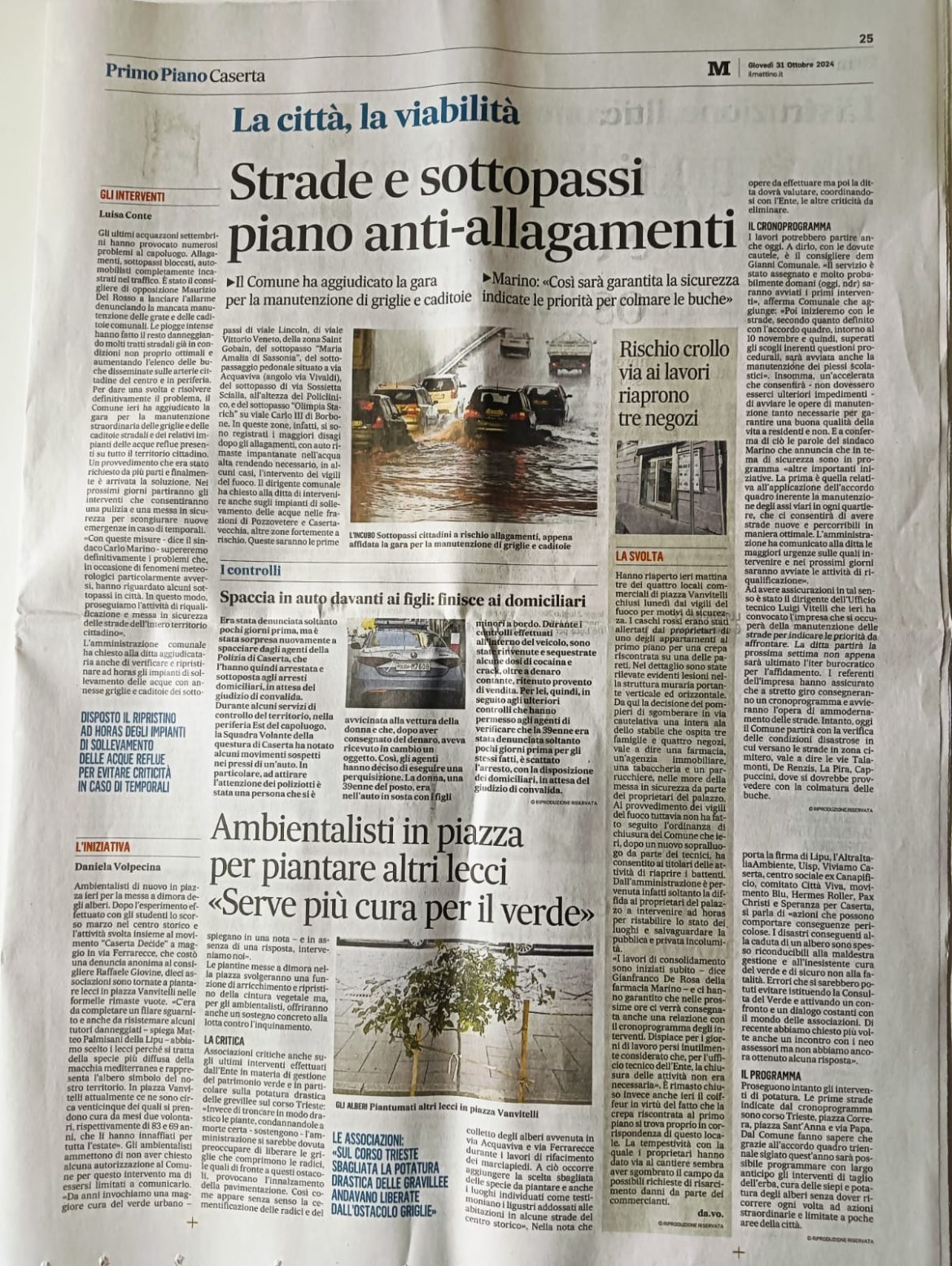 A Caserta si piantano nuovi Lecci