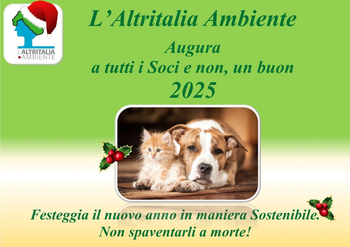auguri 2025 L’Altritalia augura a tutti un  sostenibile 2025