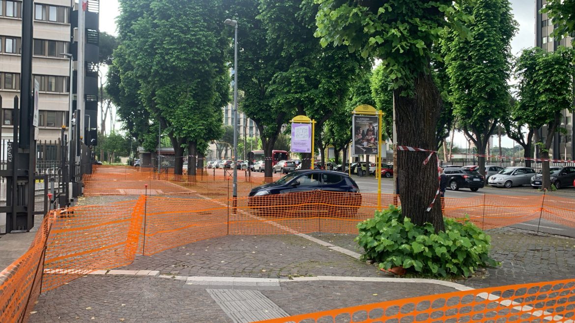 Verde Pubblico: Solidarietà ai denunciati mentre cercavano di impedire abbattimenti