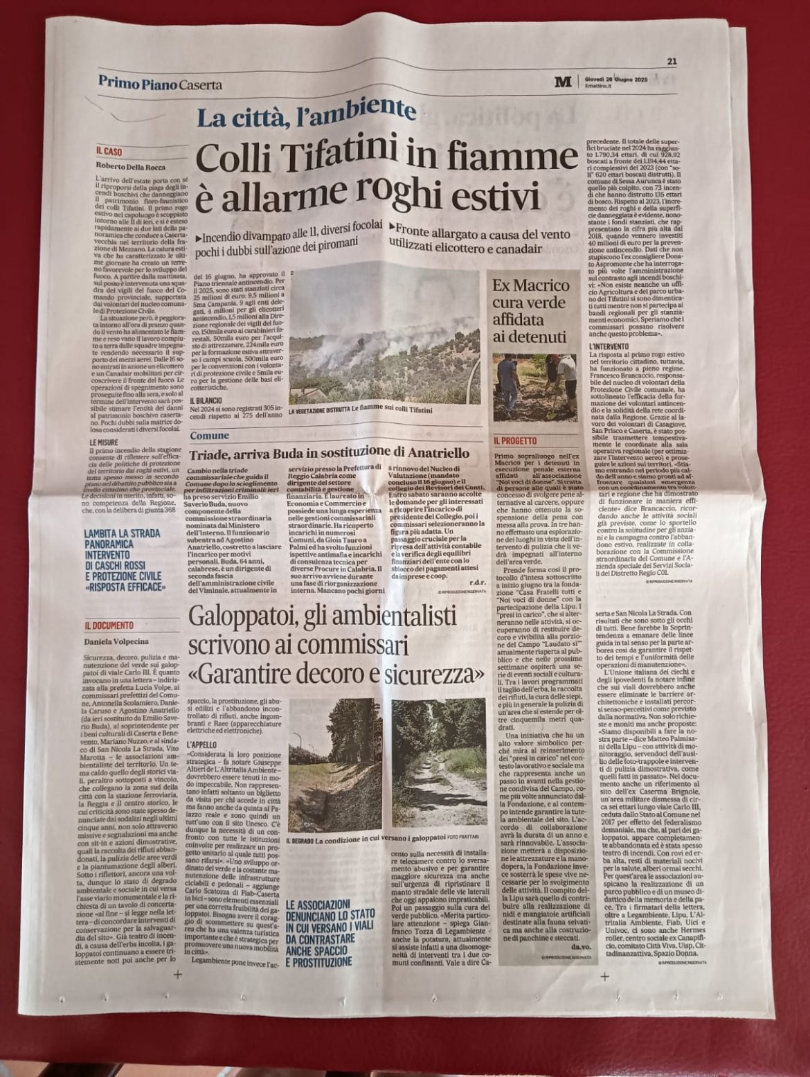 IL MATTINO 26 GIUGNO 2025 CASERTA Il Segretario Nazionale scrive al prefetto di Caserta ed alla direttrice della Reggia per tutelare gli alberi