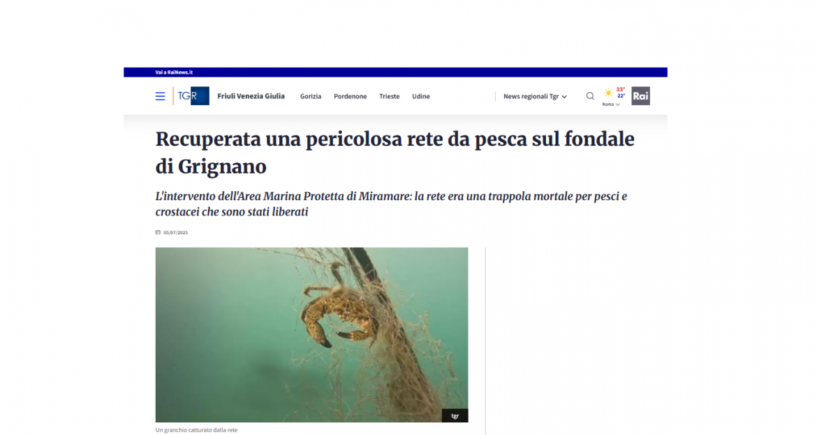 TGR FRIULI VENEZIA GIULIA 05 LUGLIO 2025 I volontari di Trieste recuperano una rete di 100 metri a Miramare