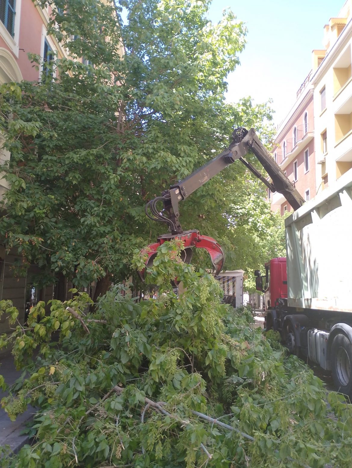 via di lando 1 Emergenza abbattimenti, i cittadini di via Di Lando incontrano i giornalisti